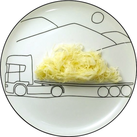Flatbed Spaghetti Plate